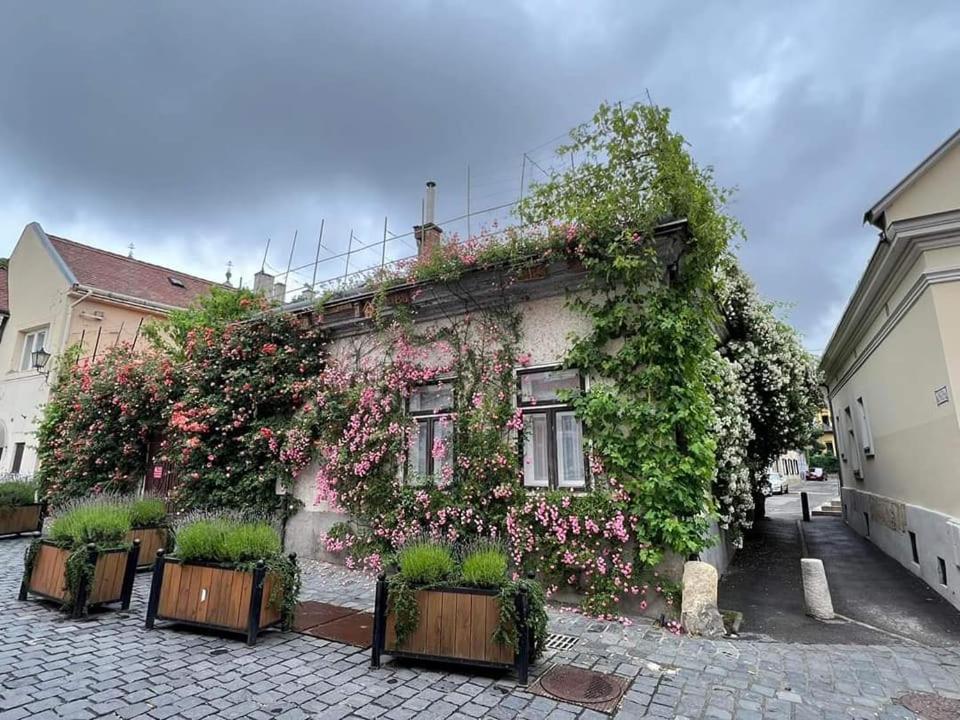 Downtown Romantic Székesfehérvár Eksteriør bilde